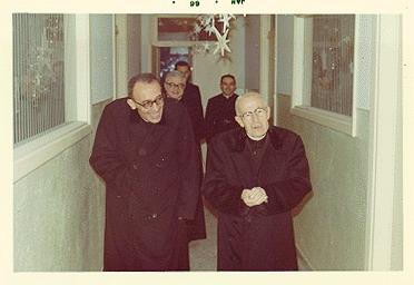 Lamera con alberione