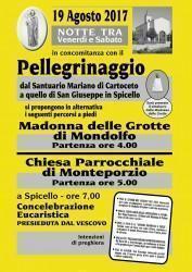 Locandina alternativa 2017